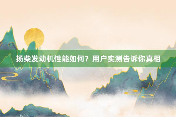 扬柴发动机性能如何？用户实测告诉你真相