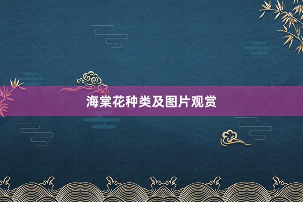 海棠花种类及图片观赏